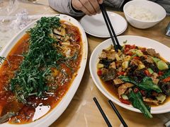 -老字号怡玺·藿香雅鱼(20年雅安店)