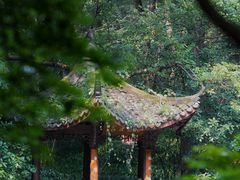 -杭州植物园