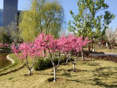 -西海子公园