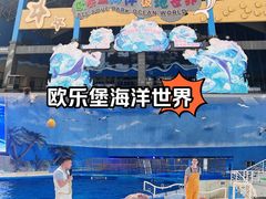 -泉城欧乐堡海洋极地世界