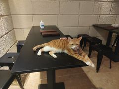 -逃脱反斗城沉浸剧情密室(北京路店)