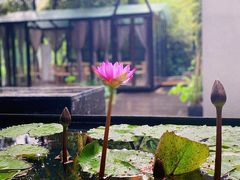 -箱美术馆私房菜(水晶郦城店)