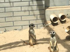 -银川动物园