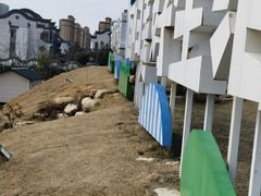 -湖南东洞庭湖国家级自然保护区