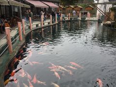 -湖鲜楼