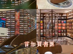 -盐城丹顶鹤湿地生态旅游区