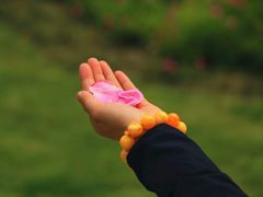 -昆山城市生态森林公园