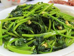 -大树头森林餐厅(番禺广场店)