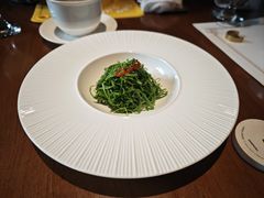 -觀芷隐轩