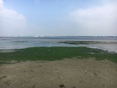 -霞山观海长廊