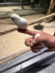 -酷嗒动物文化乐园(cutezoo西溪乐天城店)