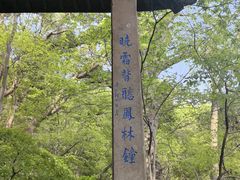 -杭州黄龙洞