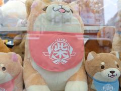 -秋叶原电器街