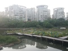 -金山公园
