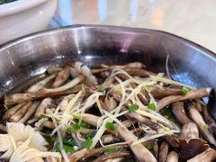 -区海鸡场饭店(石壁店)