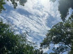 -川西竹海景区