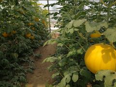 -兴芮温泉度假区