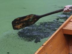 -渌洋湖湿地公园
