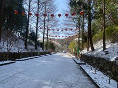 -四明山国家森林公园