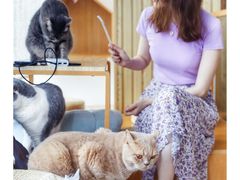 -Catmate·猫肥家润(金润铂宫店)