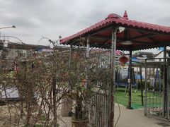 -小鱼草莓采摘园农家乐·小鱼餐厅