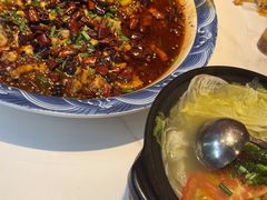 -新概念来凤鱼(璧山店)