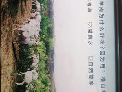 -老村长大锅炖羊肉(榆林大道店)