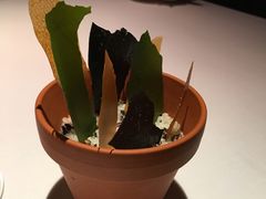 -Bleston Court Yukawatan