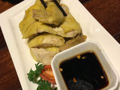 -四季春