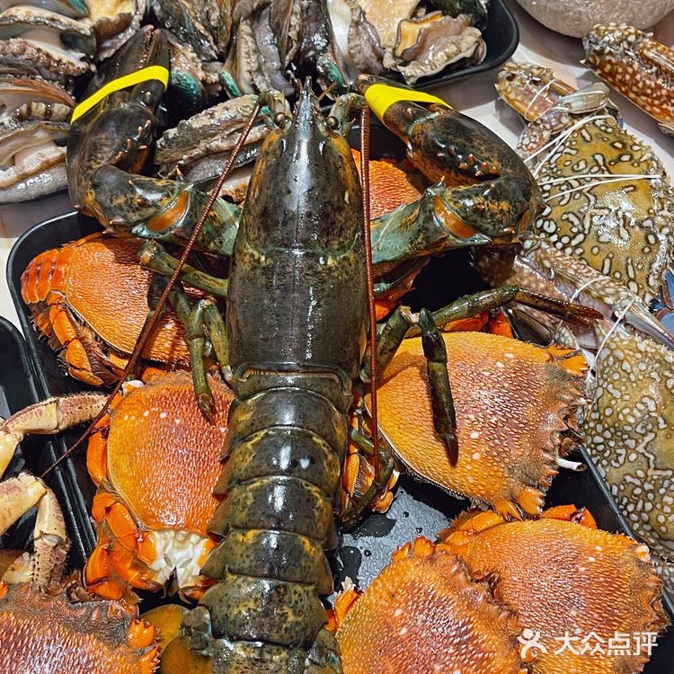 成都最豪华的海鲜自助餐非它莫属❗️