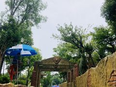 -苏州乐园森林水世界