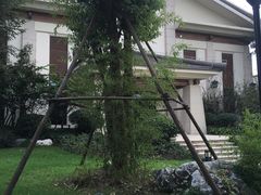 -苏州湾王焰温泉度假酒店