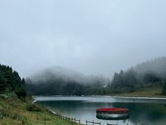 -武陵山森林公园