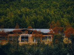 -广州市石门国家森林公园