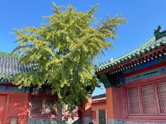 -历代帝王庙博物馆