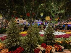 -拉斯维加斯永利酒店