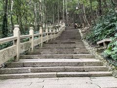 -普陀山风景区-佛顶山