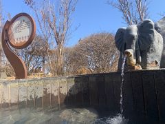 -青岛海泉湾度假区温泉