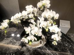 -北京漾格医疗美容医院