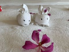 -三亚海棠湾喜来登度假酒店