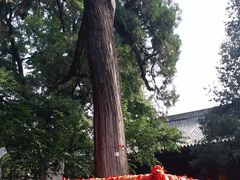 -红螺寺
