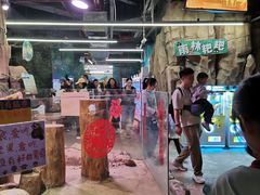 -正佳雨林生态植物园