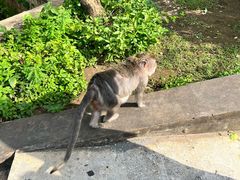 -乌鲁瓦图寺