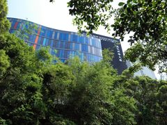 -大埔公路-马料水段香港中文大学(公交站)