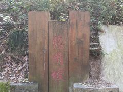 -云碧峰国家森林公园