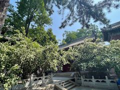 -潭柘寺景区