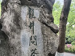 -龙井村