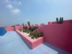 -漳州滨海火山岛自然生态风景区