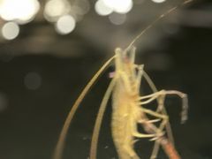 -DGE季风钓虾营地·团建·聚会
