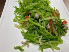 -柳园春天特色餐厅(南浔古镇店)
